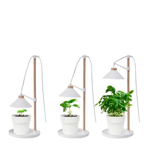 Garden Home Grown Grow Table Lamp Large