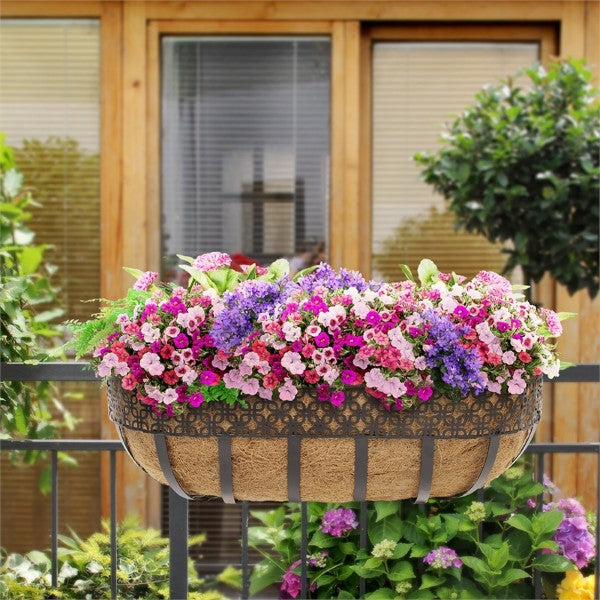 55cm Cordoba Trough Hanging Basket (6142934810776)