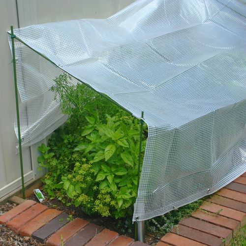 Tarp Polytuf 2.4 x 3.0m Clear View Tarpaulin