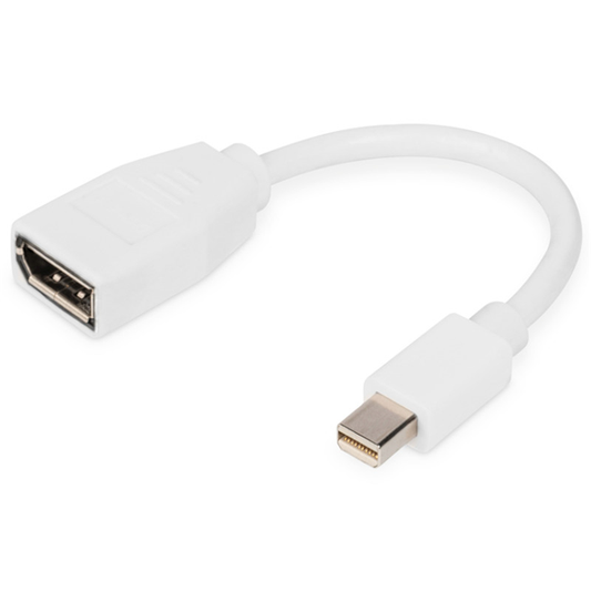 Tech Ednet mini DisplayPort (M) to DisplayPort (F) Adapter Cable.