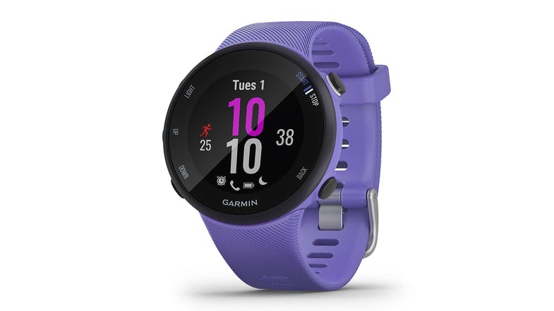 Garmin Forerunner 45 Small - Colour Iris (6164877803672)