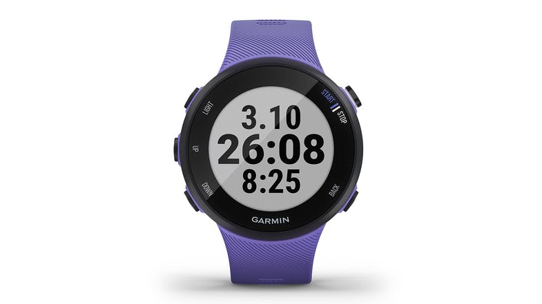 Garmin Forerunner 45 Small - Colour Iris (6164877803672)