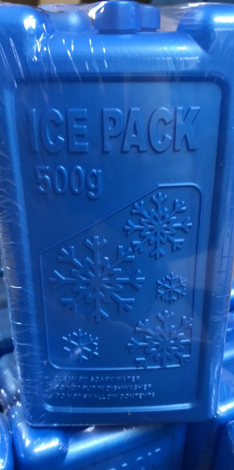 Camping Ice Brick 500g - 2 pack