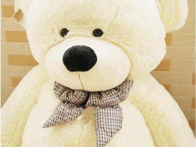 Kids Lovely Giant Teddy Bear 1M White